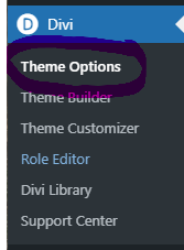 divi theme options